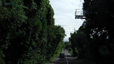 IMGA0640.2017.8.6.jpg