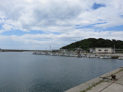 IMG_4191.2017.8.6.jpg