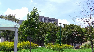 IMGA0911.jpg
