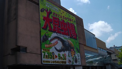 IMGA0922.2017.8.20.jpg