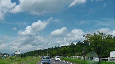 IMGA0049.2017.8.26.jpg