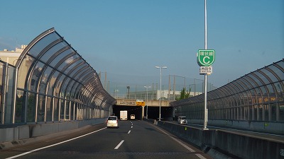IMGA0208.2017.8.26.jpg