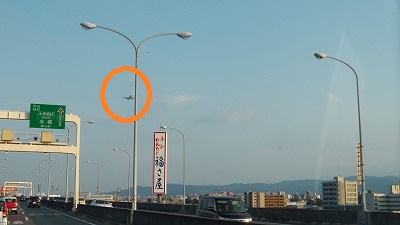 IMGA0211.2017.8.26.jpg