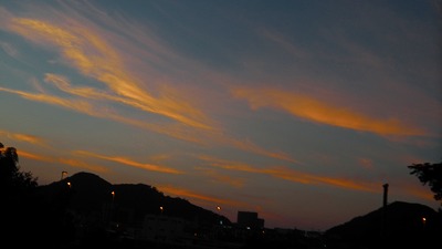 IMGA0217.2017.8.26.jpg
