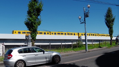 IMGA0058.2017.9.18.jpg