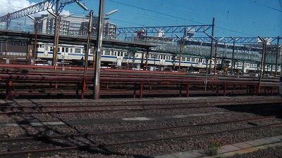 IMGA0073.2017.9.18.jpg