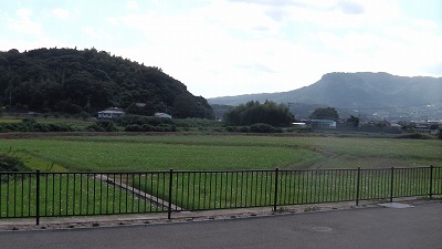 IMGA0354.2017.9.29.jpg
