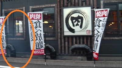 IMGA0508.2017.10.1.jpg