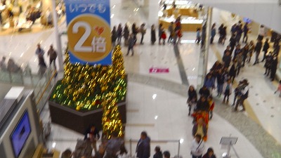 IMGA0632.2017.11.23.jpg