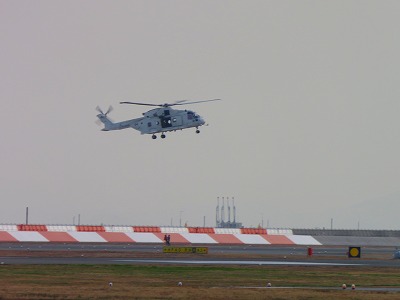 IMG_5242.2017.11.30.jpg