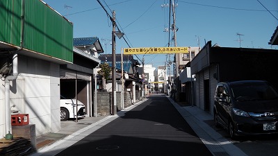 IMGA0991.2017.12.02.jpg