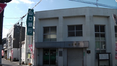 IMGA0992.2017.12.02.jpg