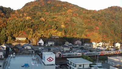 IMGA0911.2017.12.01.jpg