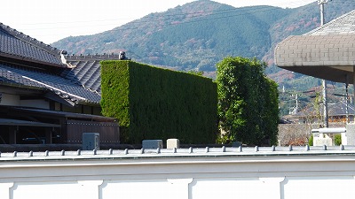 IMGA0068.2017.11.30.jpg