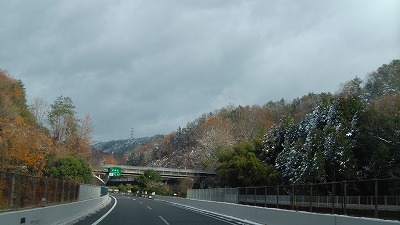 IMGA0134.2017.12.12.jpg