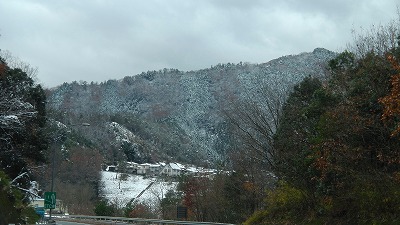 IMGA0135.2017.12.12.jpg