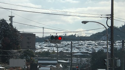 IMGA0137.2017.12.12.jpg