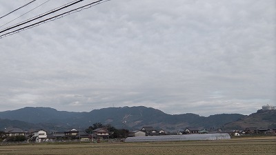 IMGA0179.2017.12.15.jpg