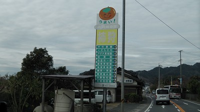 IMGA0194.2017.12.15.jpg