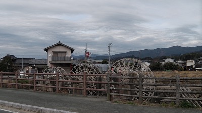 IMGA0209.2017.12.15.jpg