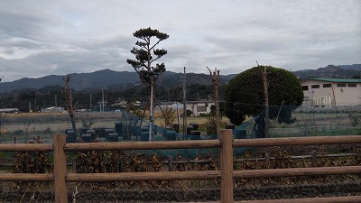 IMGA0214.2017.12.15.jpg