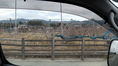 IMGA0215.2017.12.15.jpg