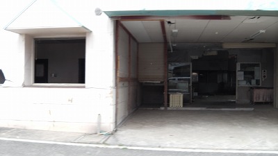 IMGA0221.2017.12.15.jpg