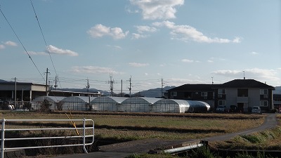 IMGA02622017.12.17.jpg