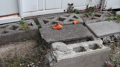 IMGA0349.2017.12.25.jpg