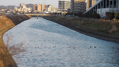 IMGA0404.2018.01.31.jpg