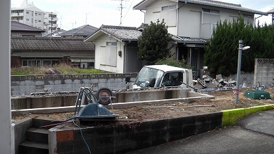 IMGA0559.2017.01.10.jpg