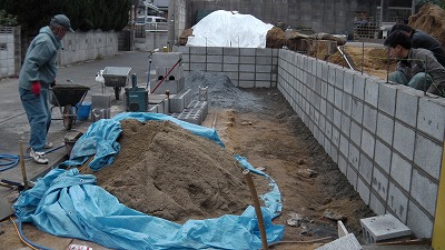IMGA0671.2018.01.18.jpg