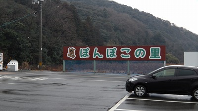 IMGA0652.2018.01.15.jpg
