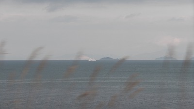 IMGA0856.2018.01.18.jpg
