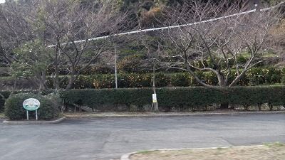 IMGA0723.2018.01.18.jpg