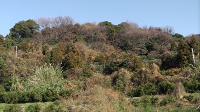 IMGA0750.2018.01.18.jpg