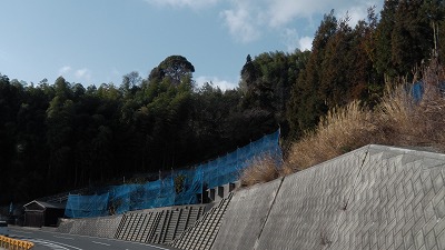 IMGA0822.2018.01.18.jpg