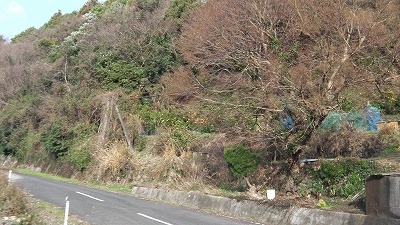 IMGA0830.2018.01.18.jpg