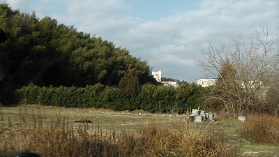 IMGA0834.2018.01.18.jpg