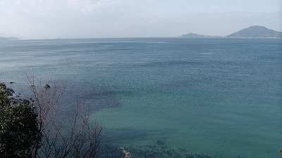 IMGA0761.2018.01.18.jpg