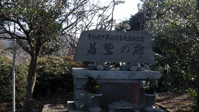 IMGA0764.2018.01.18.jpg