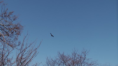 IMGA0769.2018.01.18.jpg