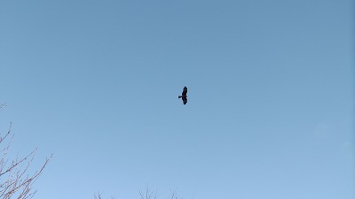 IMGA0770.2018.01.18.jpg