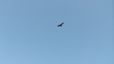 IMGA0771.2018.01.18.jpg