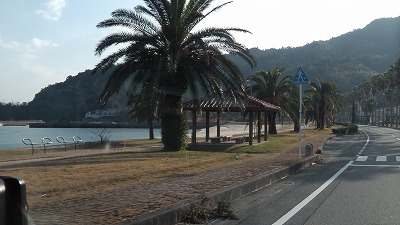IMGA0791.2018.01.18.jpg