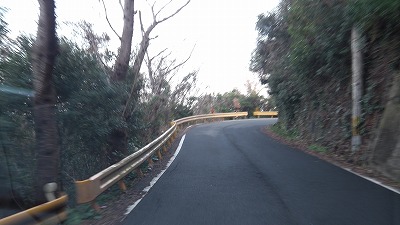 IMGA0807.2018.01.18.jpg