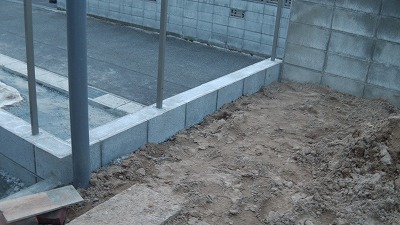 IMGA0974.2018.01.20.jpg