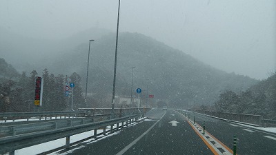 IMGA0466.2018.2.6.jpg