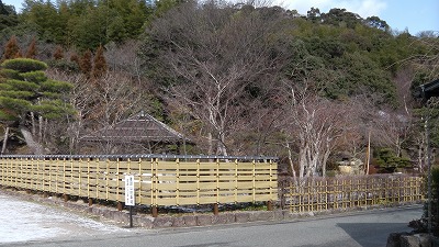 IMGA0473.2018.2.6.jpg
