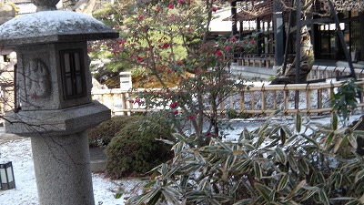 IMGA0474.2018.2.6.jpg